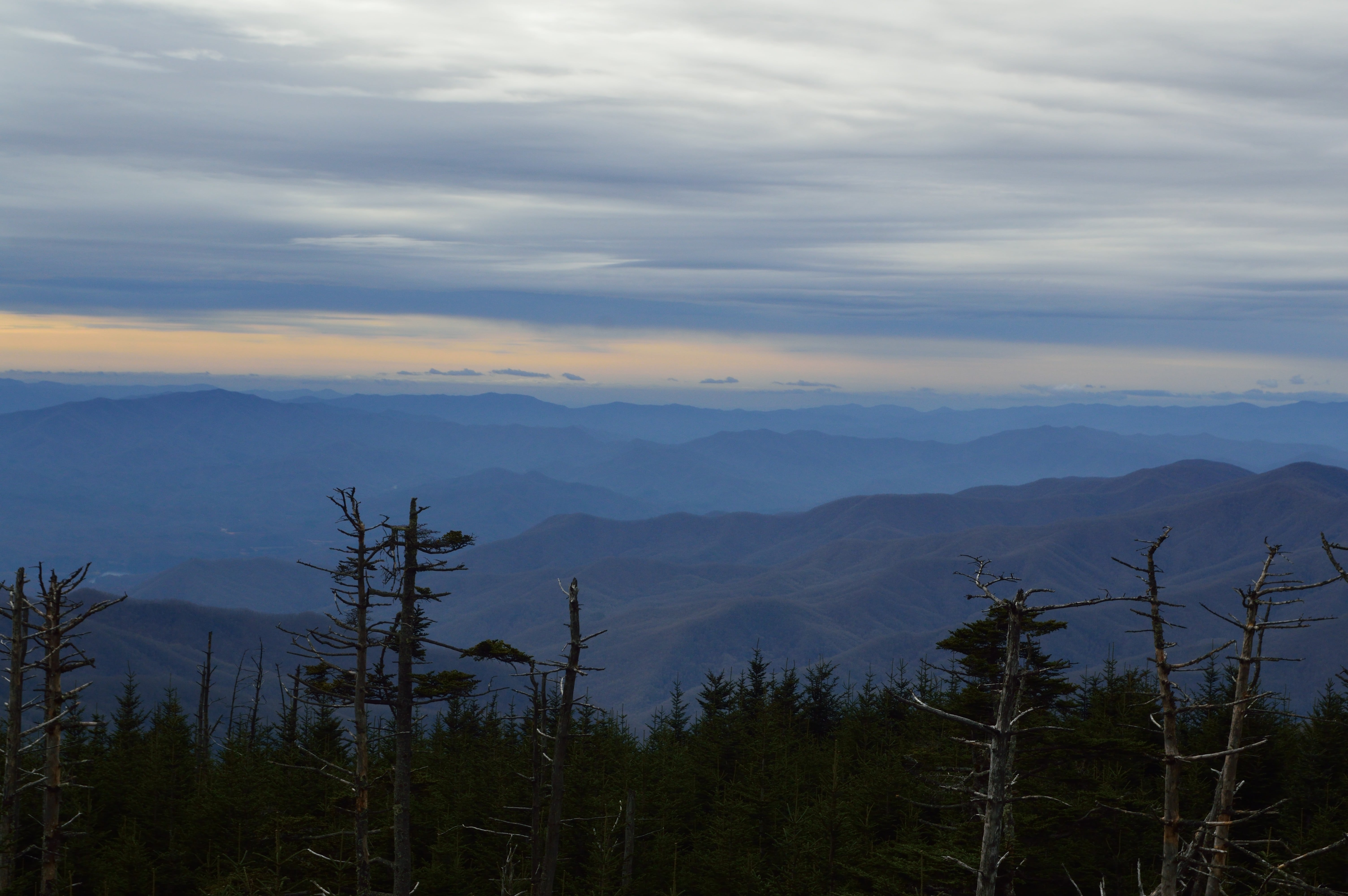 Smokies Skyline