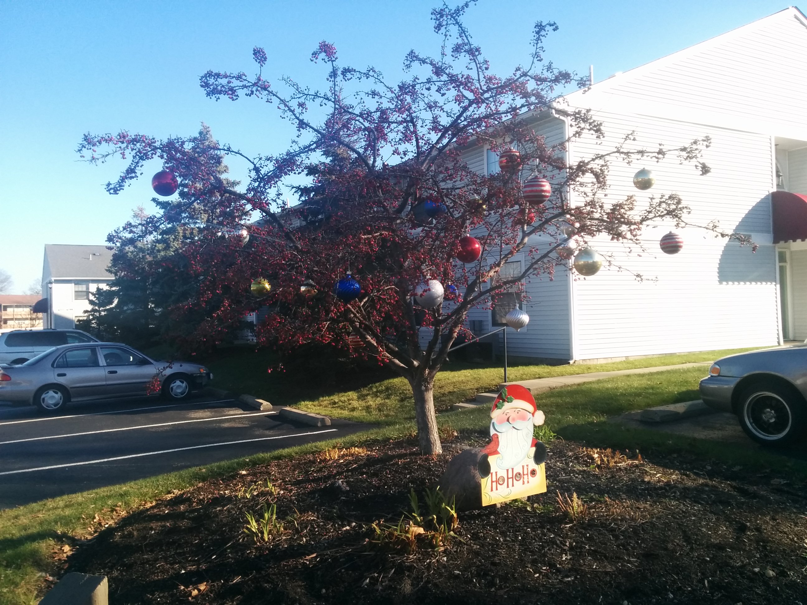 Decorated pine tree