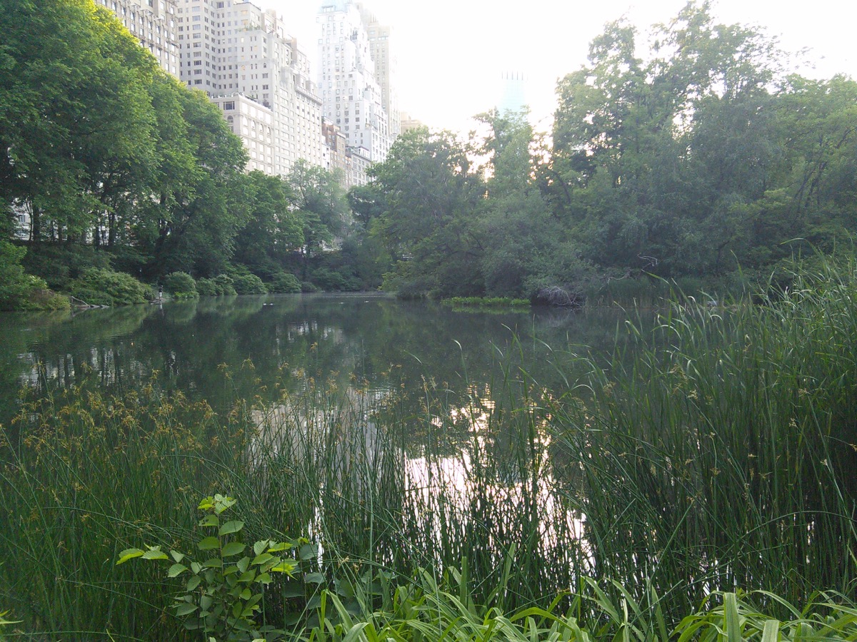 central_park_2