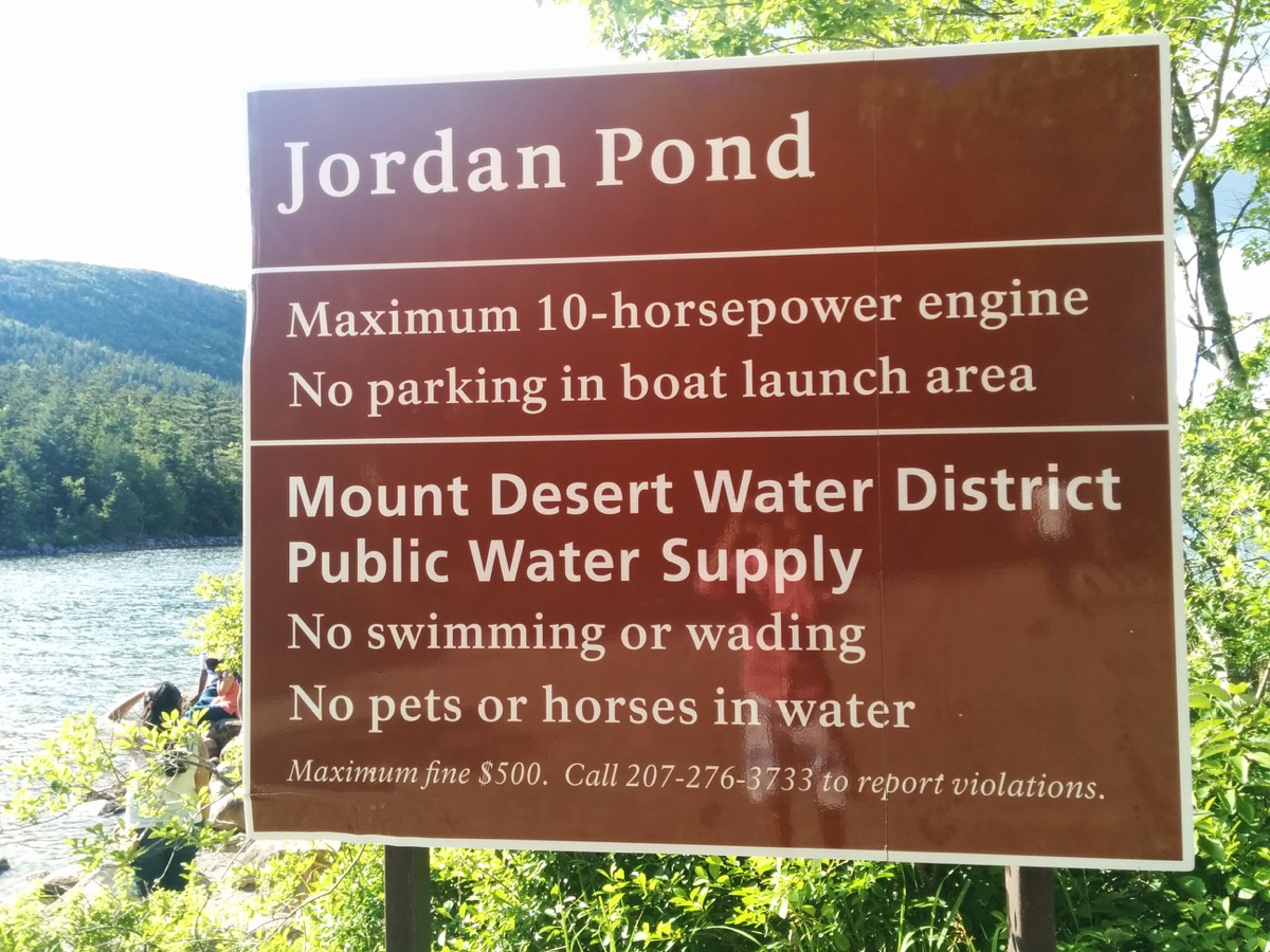 jorden_pond_0