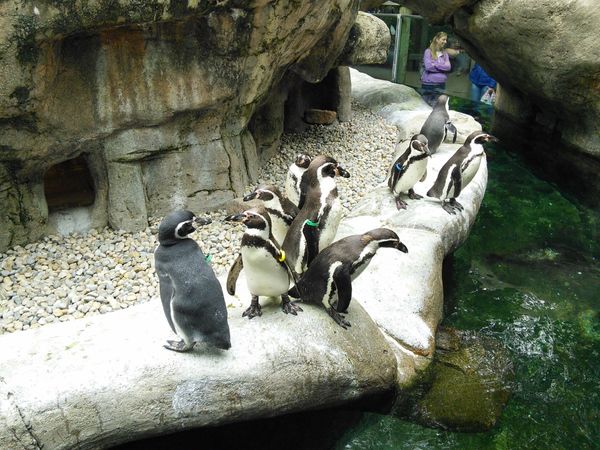 Visit to Columbus Zoo